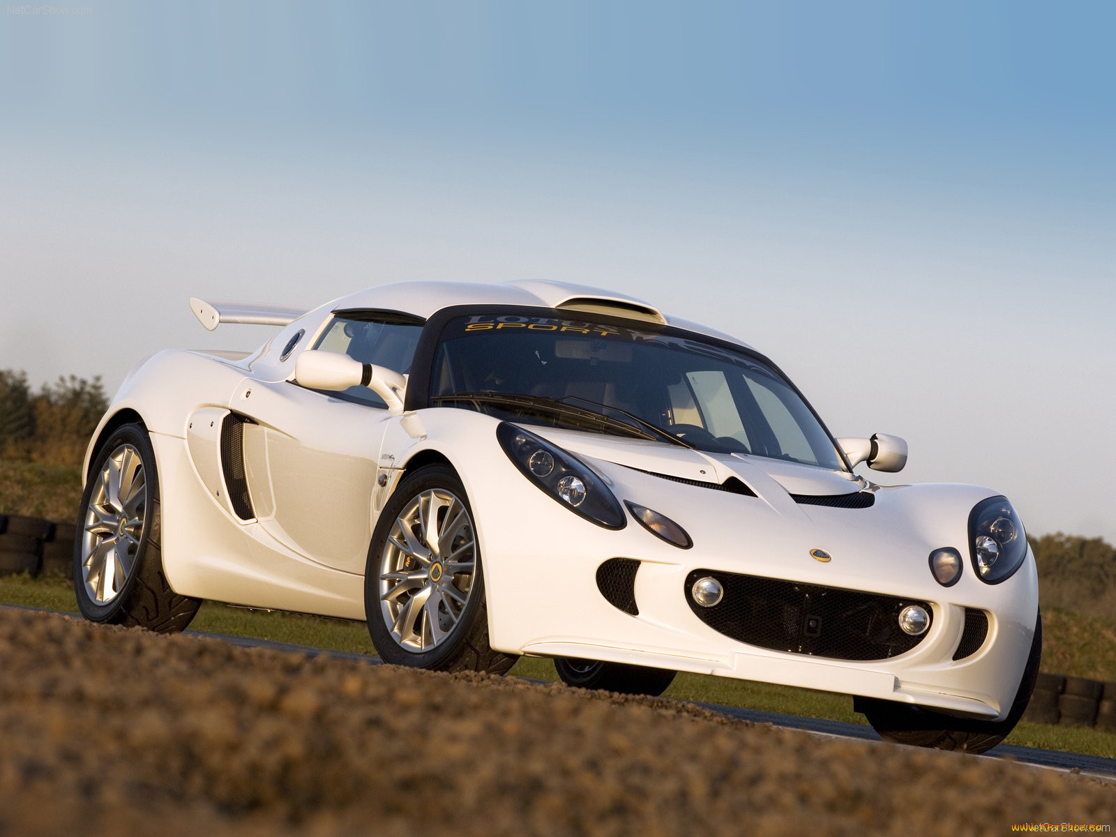 , lotus